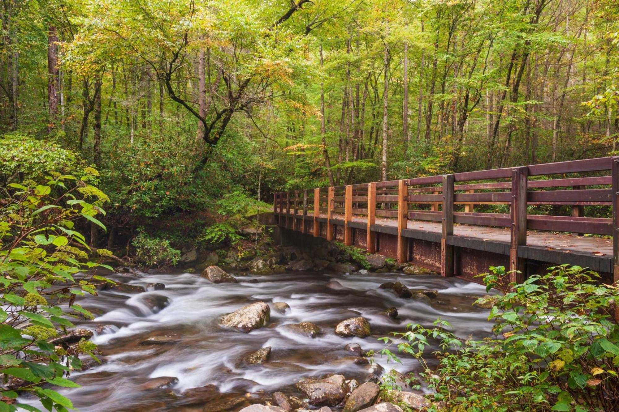 Laurel Cottage, 1089 Free Tickets Each Paid Day, Dollywood And More เซอเวียร์วีล ภายนอก รูปภาพ